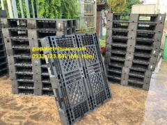 Cung cấp pallet nhựa tại Bình Dương giá rẻ nhất 0933.323.841