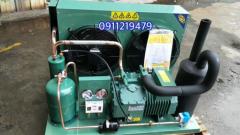 cụm máy nén  Bitzer 3 hp 2DES-3Y