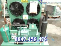 cụm máy nén kho lạnh Bitzer 12hp 4PES-12Y