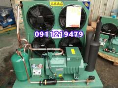 cụm máy nén kho lạnh BItzer 10hp 4VES-10Y